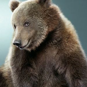 Meet your Posher, Fran